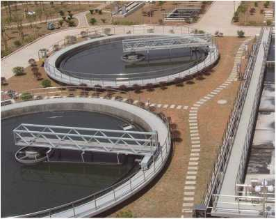 ZBXN型週邊傳(chuan)動半橋(qiao)虹(hong)吸(xi)式吸泥(ni)機